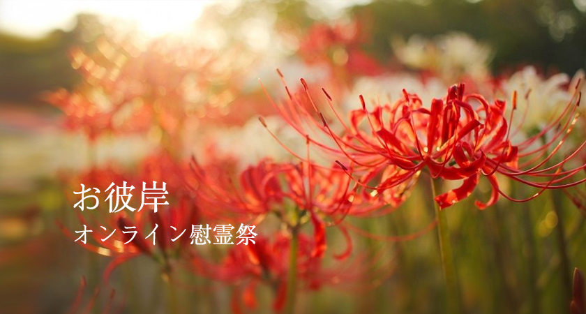 宗教・宗派不問、檀家になる必要もありません。ご自身の宗教・宗派の宗教者による法要も可能です。